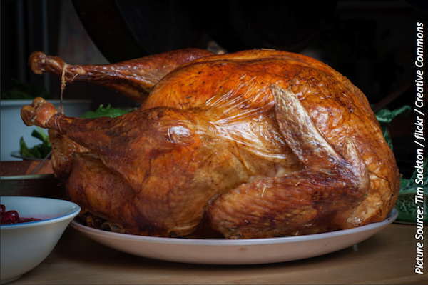 Food Preparation Safety: Tips to Avoid Foodborne Illness During Thanksgiving