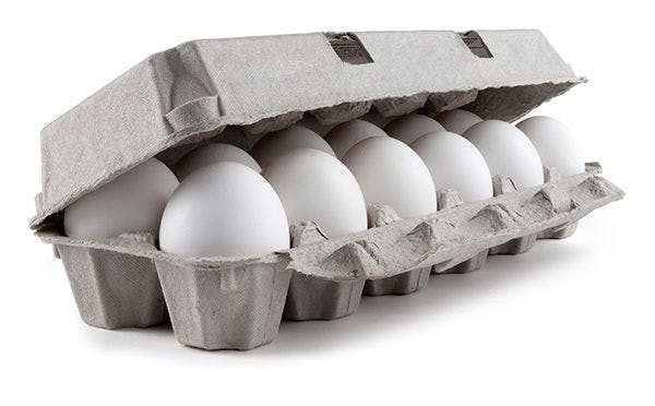 Over 200 Million Eggs Recalled As More Fall Ill in Salmonella Outbreak