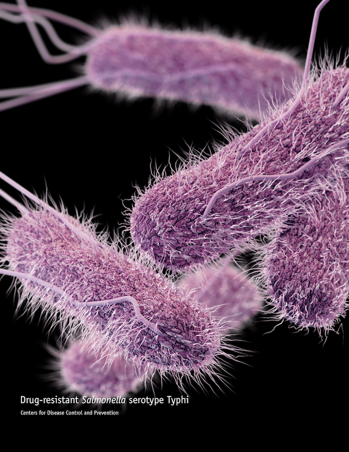 Study Outlines Machine-Based Model for Identifying Drug-Resistant Bacteria