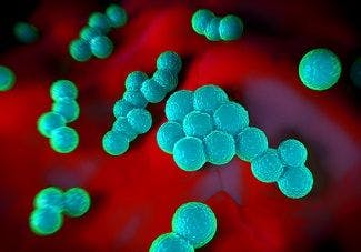 Household Environments Are a Key Reservoir for MRSA Transmission