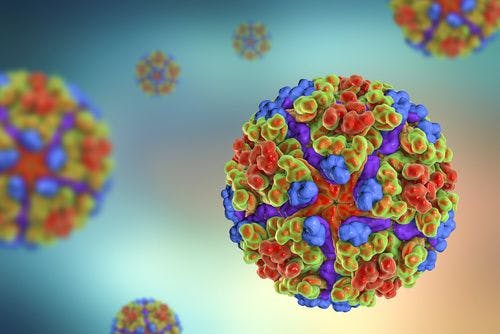 Breakthrough in Chikungunya Prevention: VLA1553 Vaccine Induces Robust Immune Response