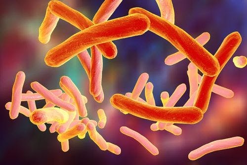 Tuberculosis Antibacterial Courses Ineffective in Minimizing Antibiotic Use